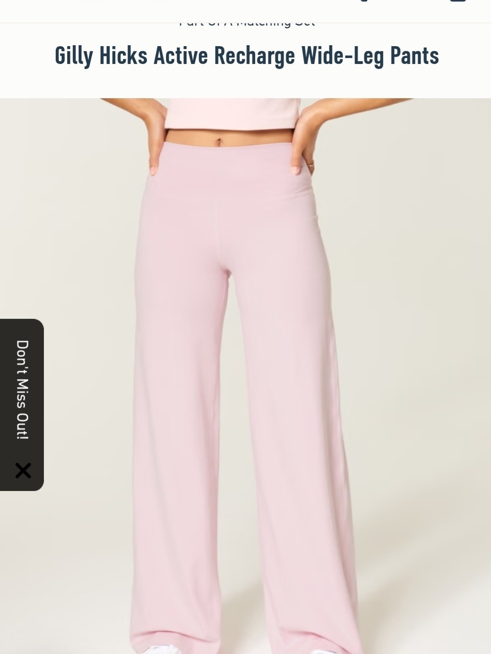 Gilly Hicks Light Pink Wide-Leg Active Pants